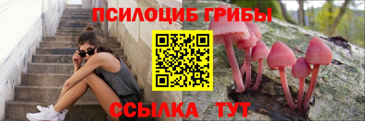 Киржач  Галлюциногенные грибы Psilocybe  Вход с VPN 
